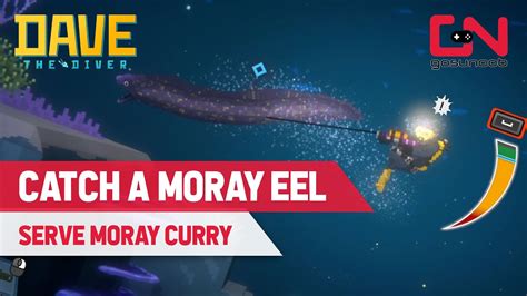 How to Catch the Moray Eel .